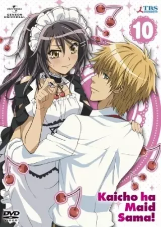 Maid Sama!: It's an Extra! Poster