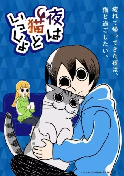 Nights with a Cat Poster